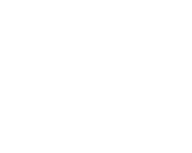 Engineering Shield